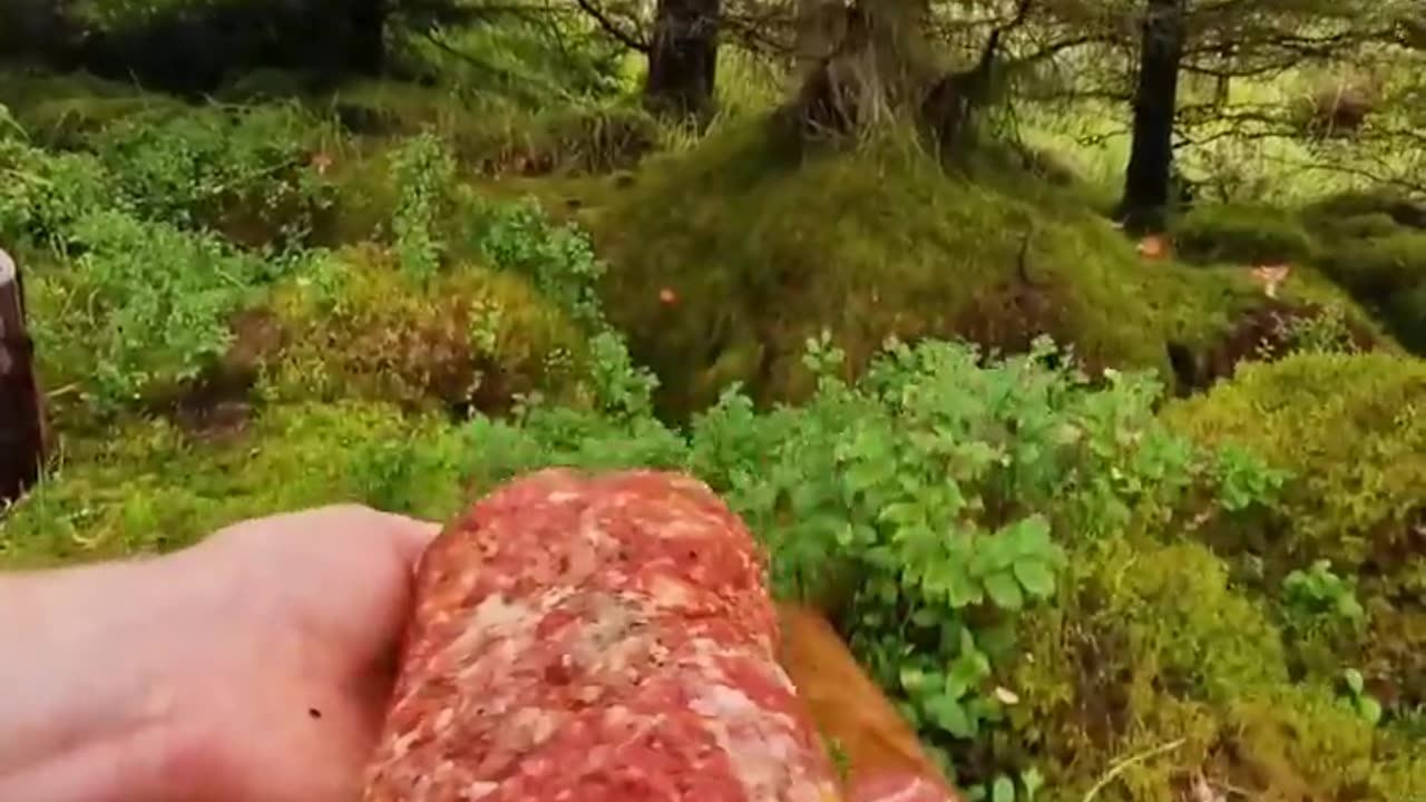 Beef Wellington is overrated 🔥 #shorts #menwiththepot #foodporn #asmr #food #cooking #fire