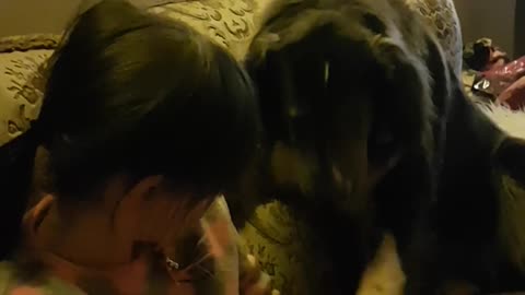 Lilly the dog trying to make freinds with my daughter in Germany.