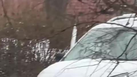 Ukrainian Man Evades the TCC