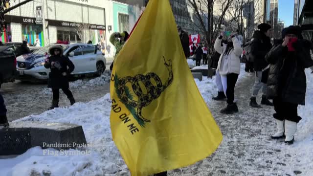 What the symbols on flags at the Ottawa protests mean-NEWS OF WORLD