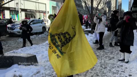 What the symbols on flags at the Ottawa protests mean-NEWS OF WORLD