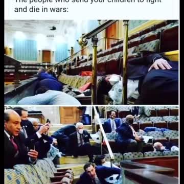 Our leaders are cowards.