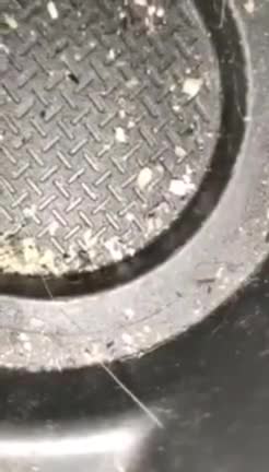 evidence video of ukrainian nazi batallions shooting civilians trying to flee mariupol