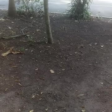 27.9.2024 Bye, thanks for coming...