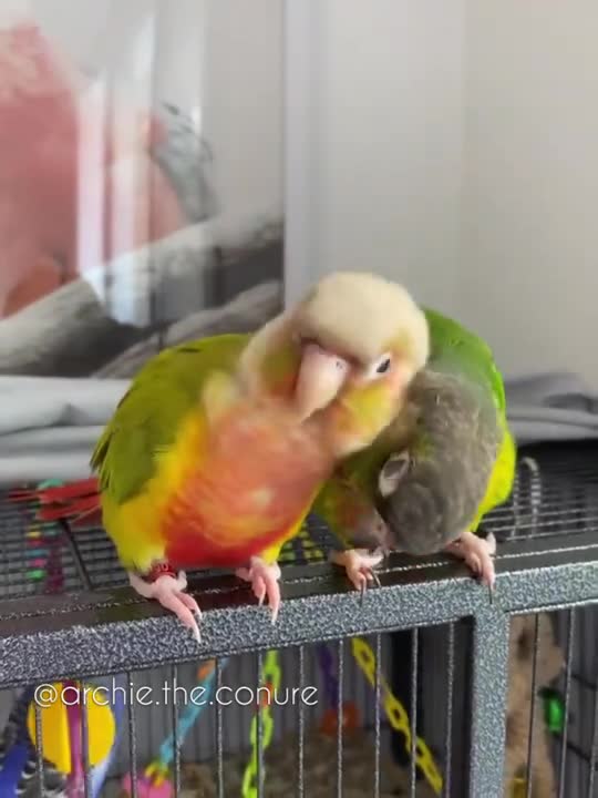 How to take care of your friend