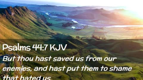 Morning Prayer to Save US #youtubeshorts #grace #jesus #mercy #faith #fyp #blessed #love #trust #joy