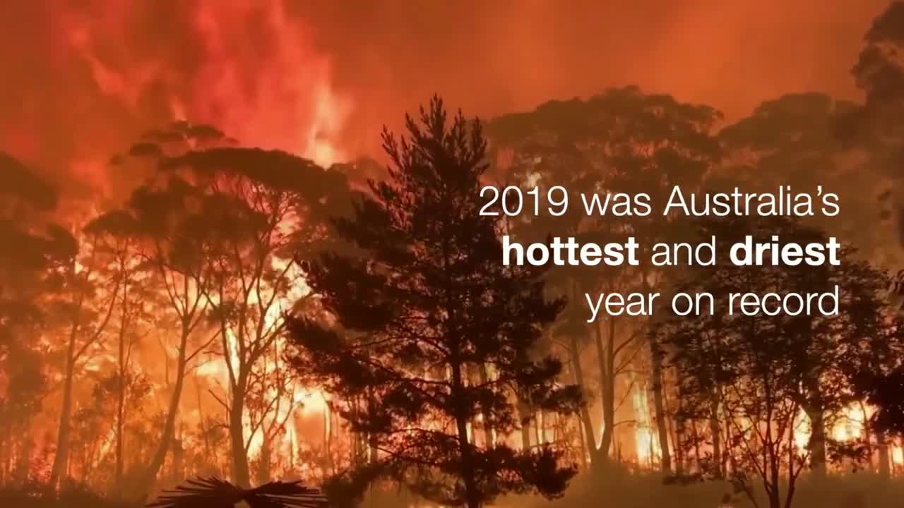Worst Disaster In History