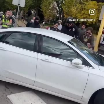 MN City Council candidate Zach Metzger terrorized an old white man driving past a pro-Palestine riot