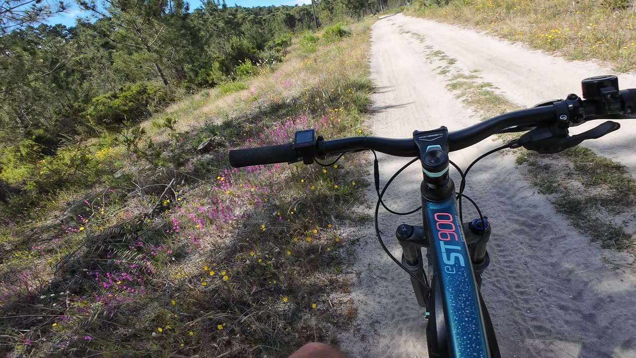 EBIKE TESTS ROCKRIDER ST900 AND MEETING ANOTHER WALKING EXPLORERS