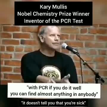 Kary Mullis - the PCR test can find anything in anybody