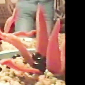 NATAL DE 1995 CTGA - SÍTIO - SHORT - 05