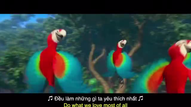 Birds sing merrily in the forest | animated videos