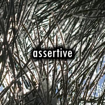 Our Lives Are In God's Hands || God's Point of View (Short #132)