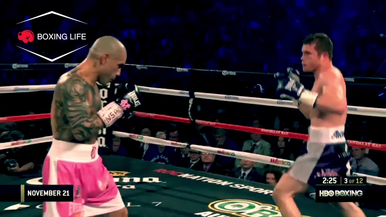 Miguel Cotto: Analysis of Boxing Style and Technique