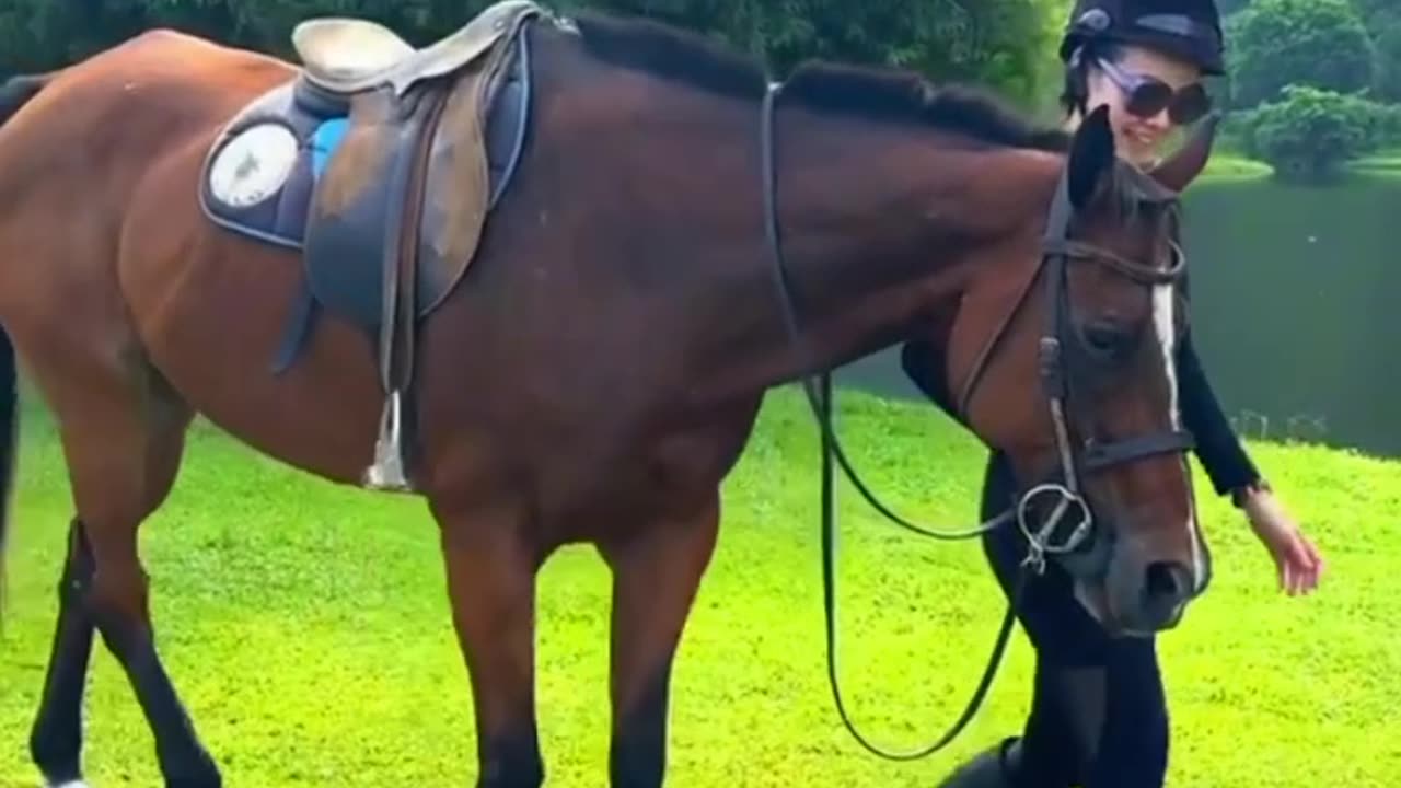 How To Horse Riding Polo Iskandar ipoh Horse spirit is symbolic Of freedom