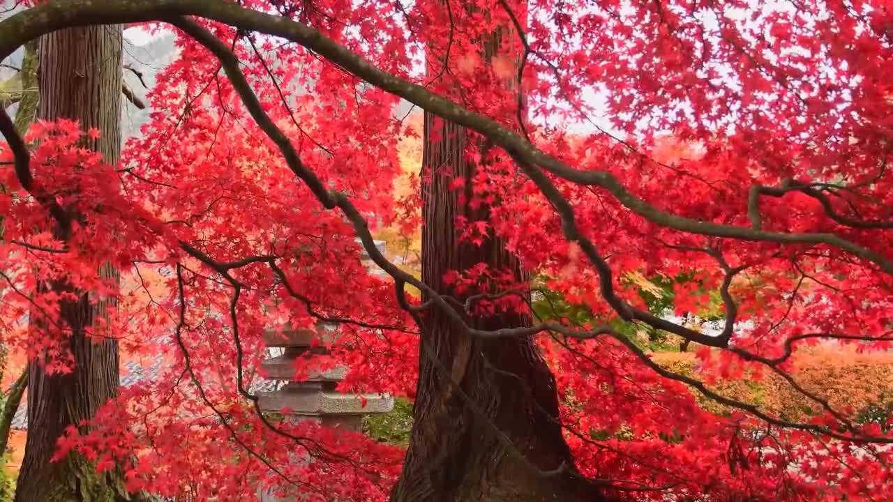 Japaneese Garden Deep Relaxation