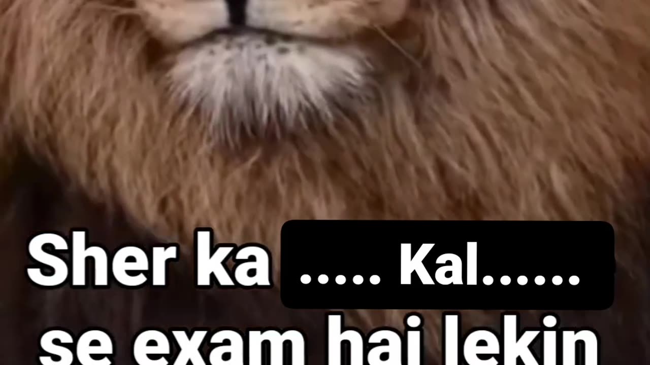 Sher ka exam😂