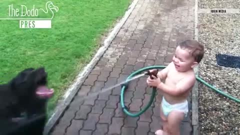 Cute babies laughing and playing with cats and dogs