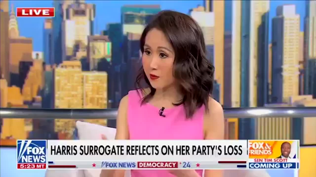 DNC Official Frames Harris Campaign As A 'Billion-Dollar Disaster'