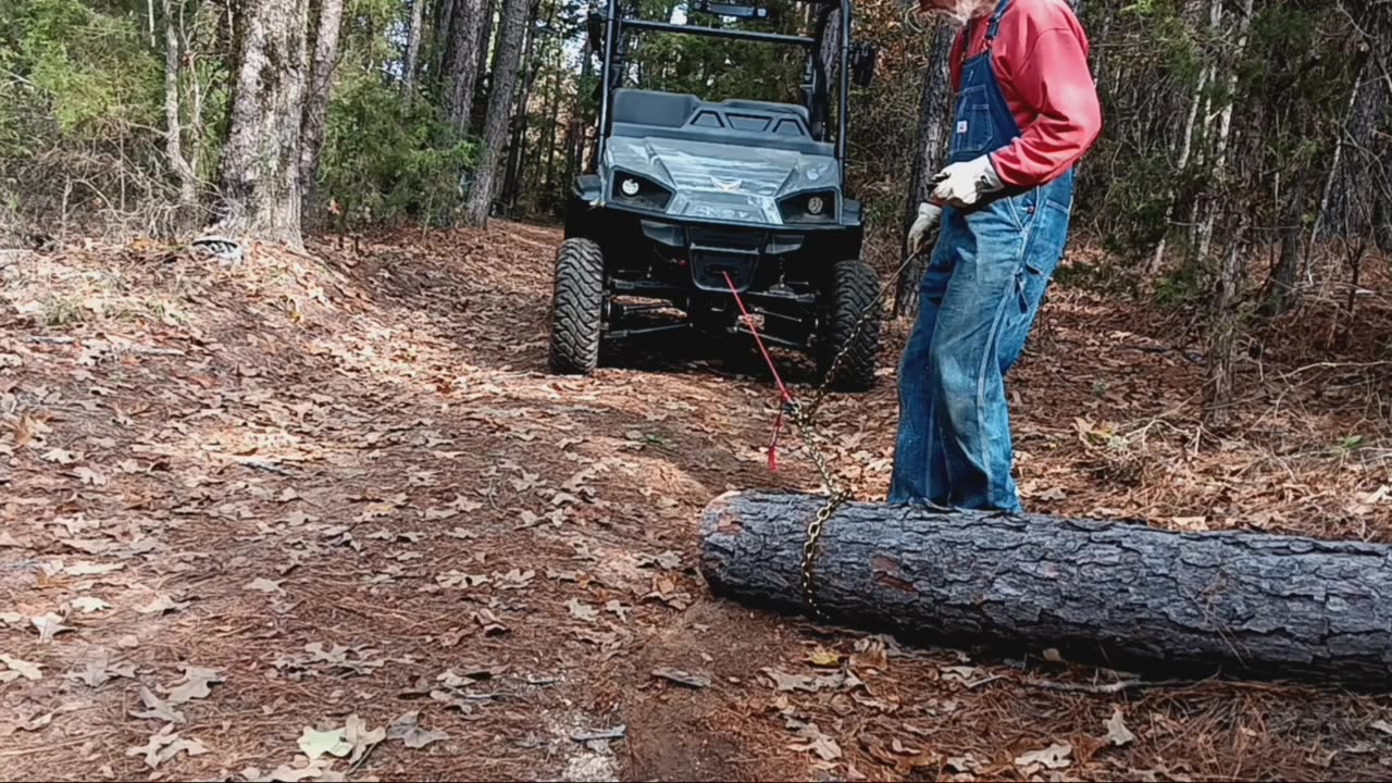 What the HECK is a loglander?!?!