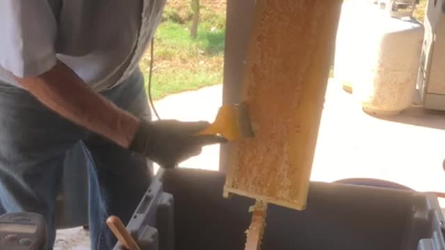 Scrapping Honey