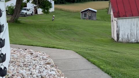 Little Motorcycle Racer Rides in the Backyard