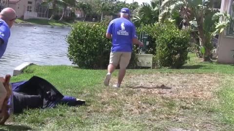 Training aggresive dog