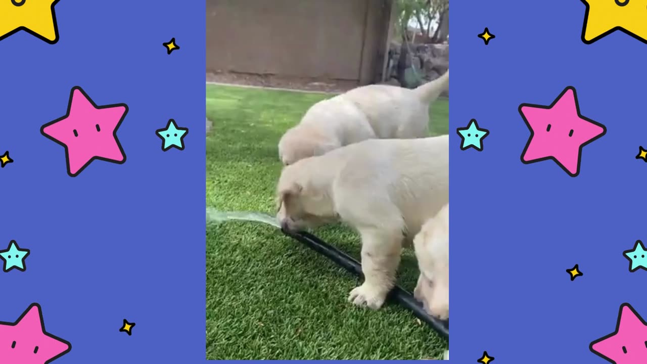 Little Buddy was Thirsty!!
