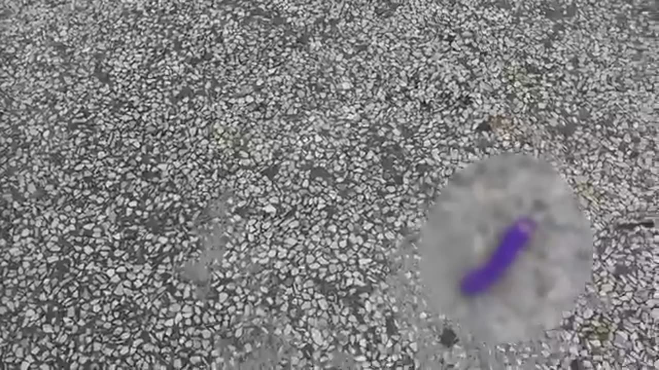 _Shocking_Prank_Compilation