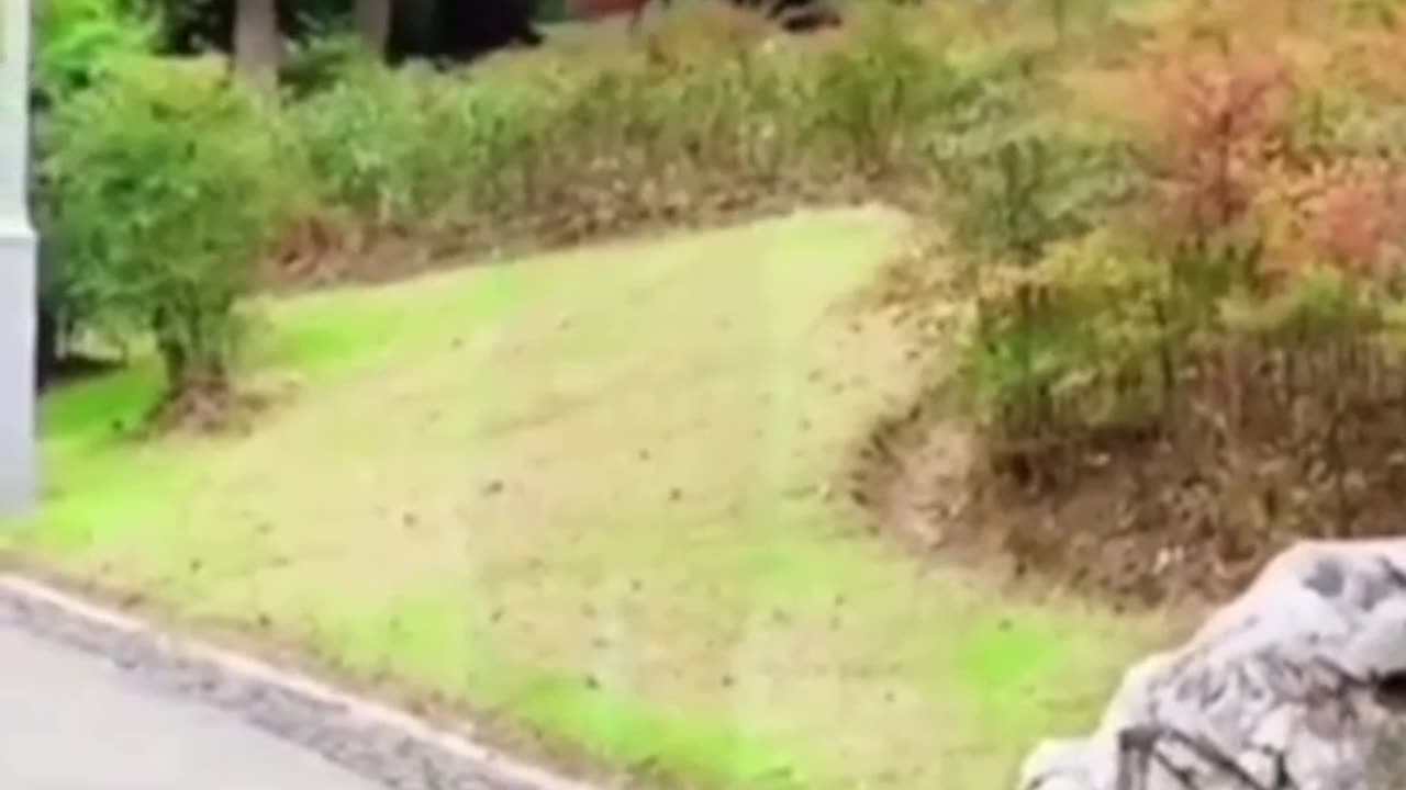 They’ve had this technology for a while and kept it hidden