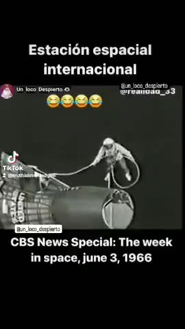 This Week In Bullshit...