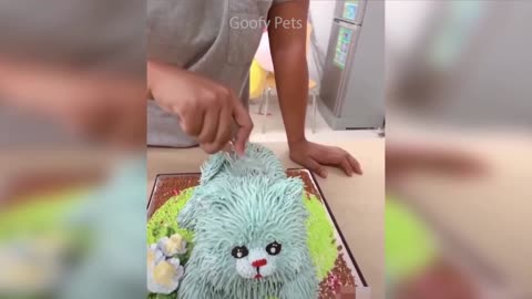 Funny Dog Cake and cat Reaction to Cutting Cake