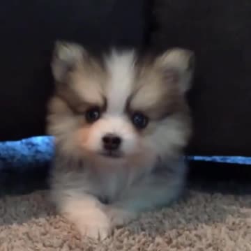 Play hide and seek with me