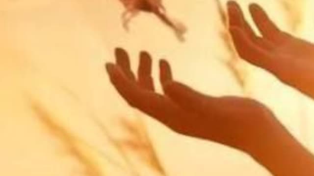 Como Construir o Futuro ???