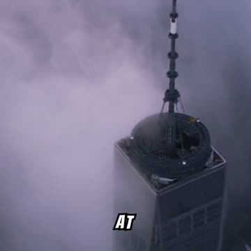 Guide Dog Roselle who Helped Her Blind Partner Escape the september 11 incident#facts#reallifestory