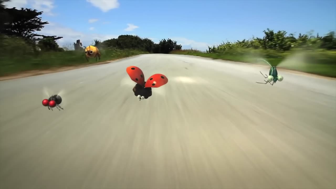 BUG RACING