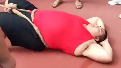 Tug Of War Anchor