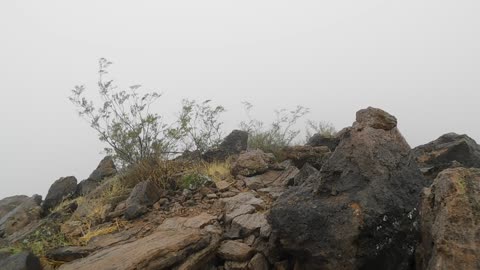 From The Summit of 'Jurassic Mountain'