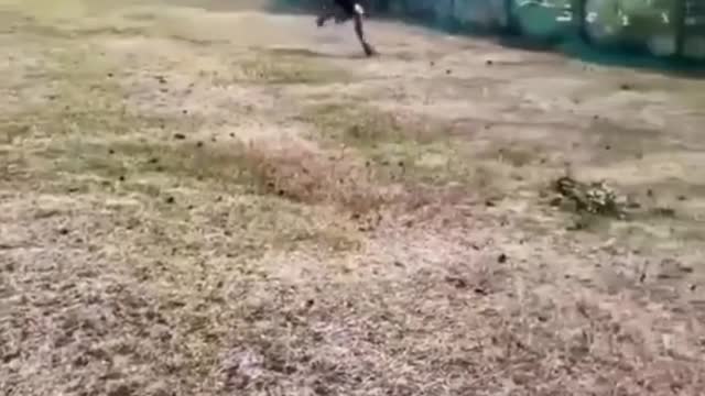 Wait for it...😂😂