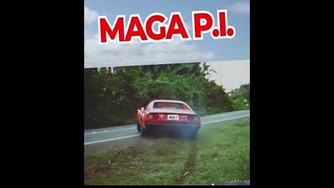 MAGA P.I.