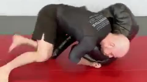 101 BJJ Techniques