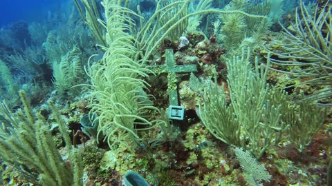 Remembrance Cross