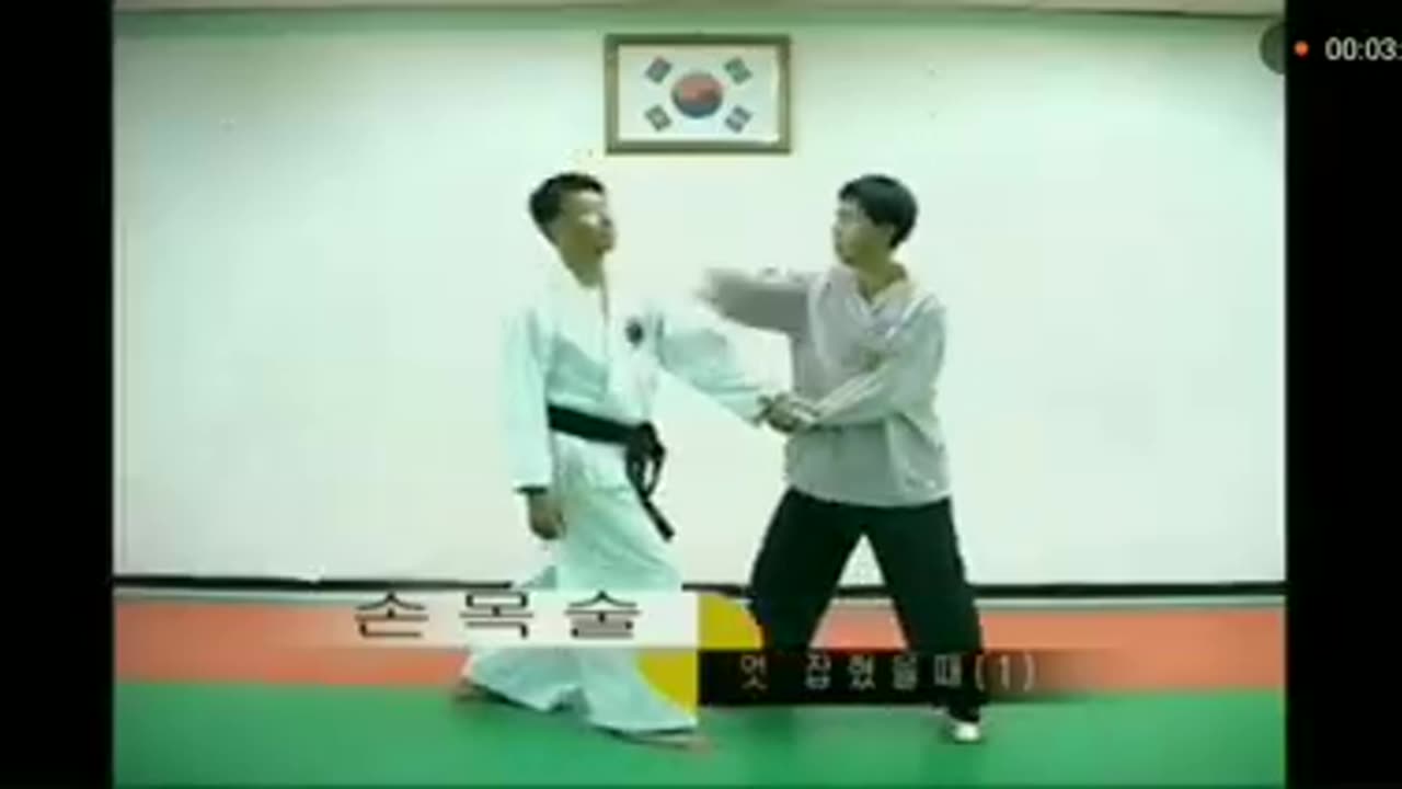 Hapkido