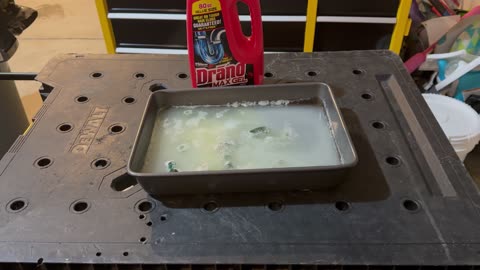 Drano Wars Episode Doggy Do’s Continuation on Wednesday, 08/21/2024, at 22:17 EDT. Dog Poop Soup 🍲.