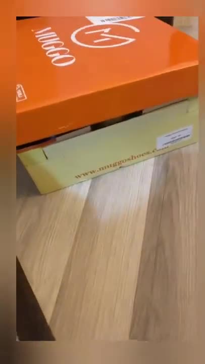 4.Cats and dogs _ cats meowing _ cats funny videos #shorts