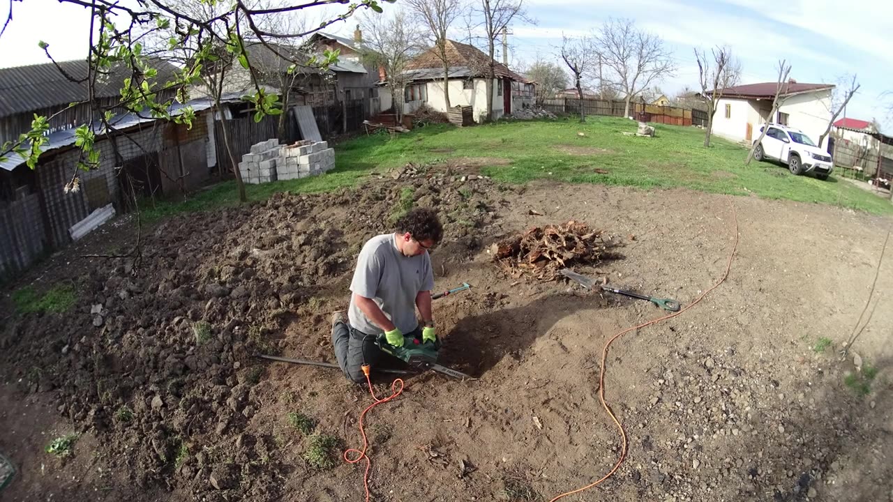 Transforming Your Yard: Manually Removing Tree Stumps