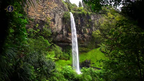 Relaxing Music | Sleeping, Meditation, Stress Relief | [6141] ⭐️