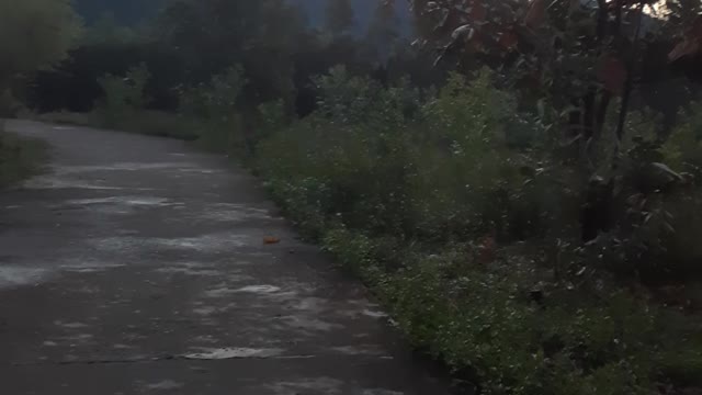Sunset