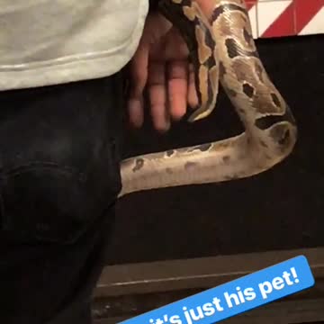 Person waiting for subway platform with snake around hand