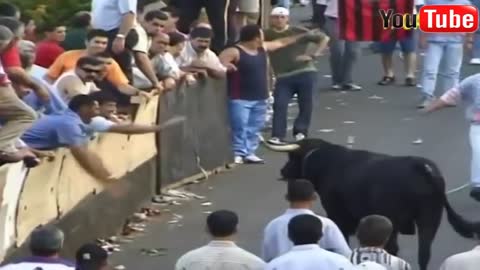 Funny Videos Compilations!! Best funny Bull Fighting videos that make us laugh everytime